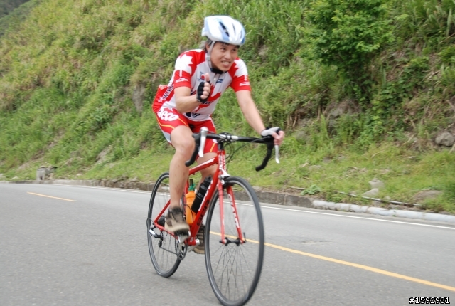 阿里山塔塔加232km一日遊