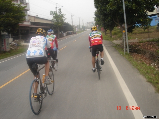 阿里山塔塔加232km一日遊