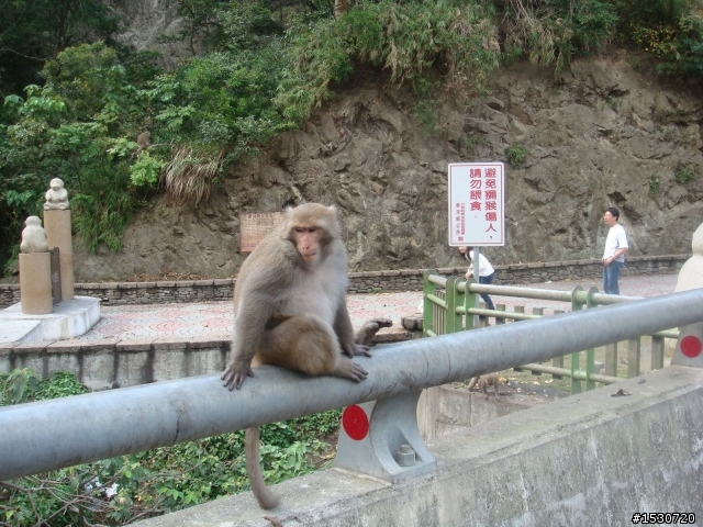 灰狼出擊---花東溫泉之旅(更新至完)