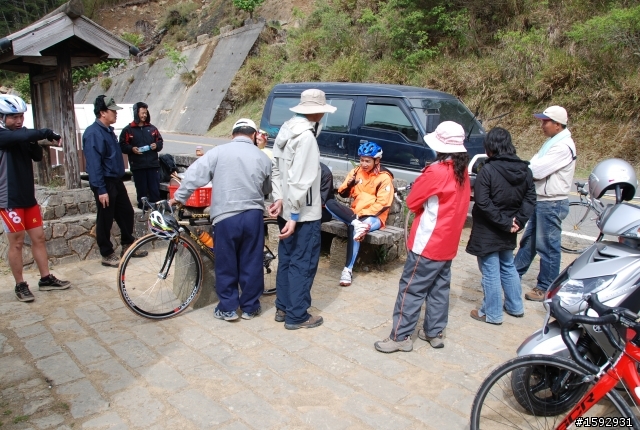 阿里山塔塔加232km一日遊