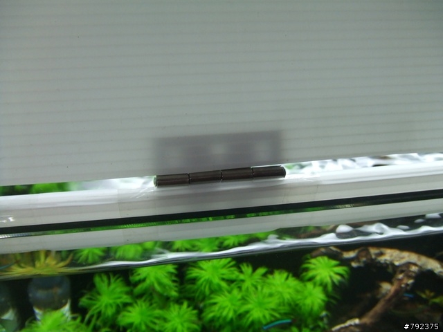 2尺新設缸~~(更新4/25~新進魚)