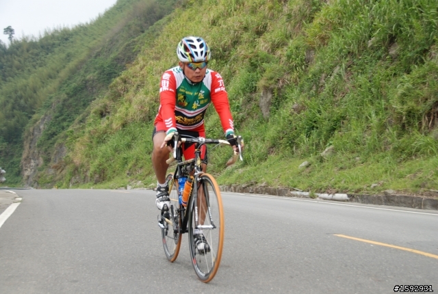 阿里山塔塔加232km一日遊