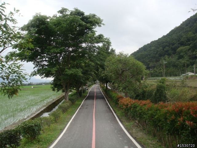 灰狼出擊---花東溫泉之旅(更新至完)