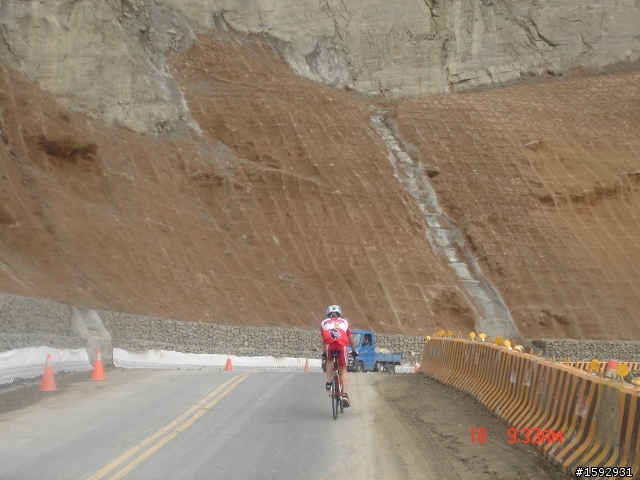 阿里山塔塔加232km一日遊