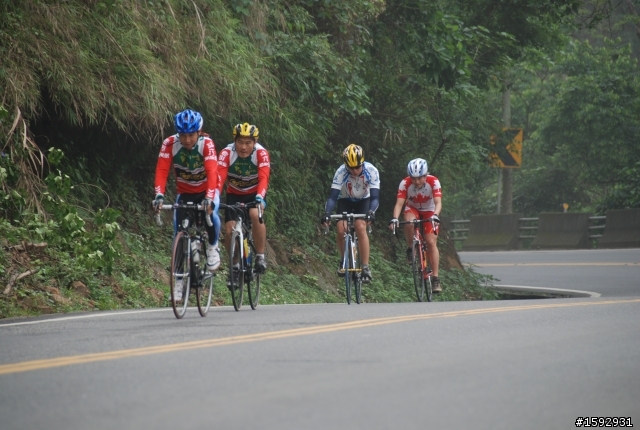 阿里山塔塔加232km一日遊