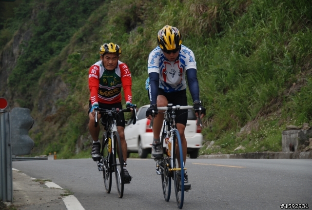 阿里山塔塔加232km一日遊