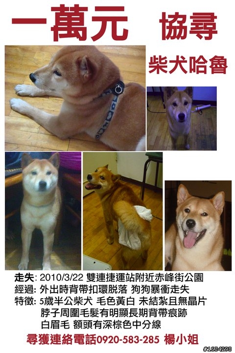 懷疑我家狗狗被偷抱走 請大家給我建議 拜託!