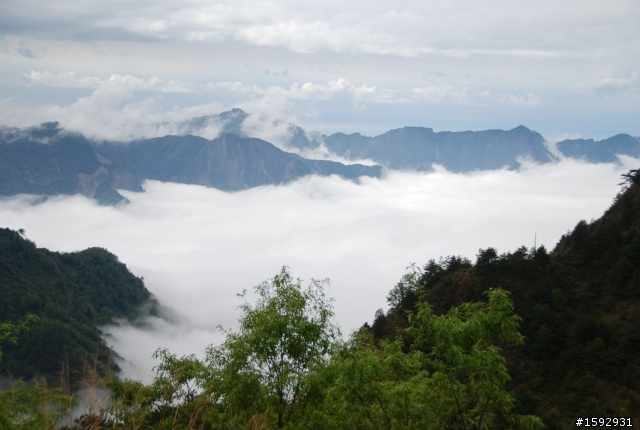 阿里山塔塔加232km一日遊