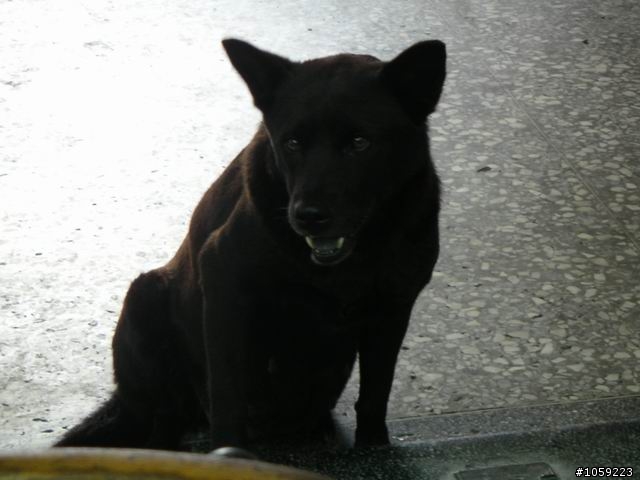 2010年單人野狼環島5天4夜-地獄式考驗-沙塵暴-焚風-低溫-濃霧-落山風-狂風-降雨-終完成夢想