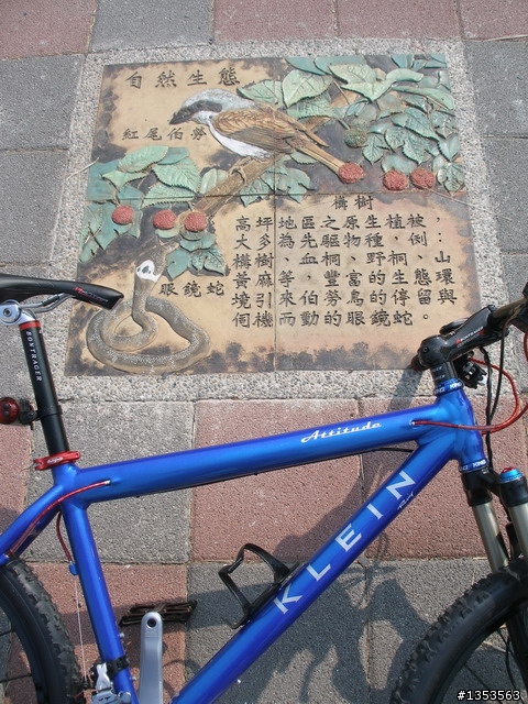<高雄>最南端新地標之清明掃墓