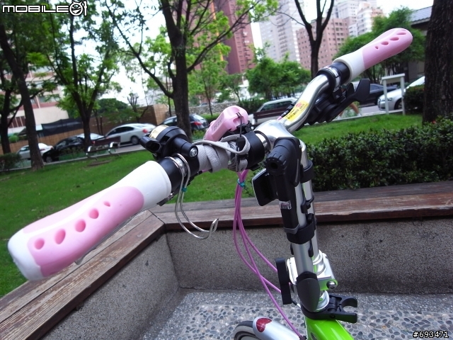 【男僕的心血第二彈】GIANT FD-806的巒生兄弟=NISSAN FD-805 綠小折之團圓買菜車=