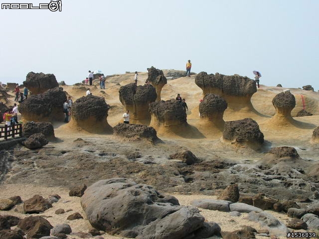 (長文+多圖) 2010/3/30-31 沒啥計劃的台灣3/4周雙點三塔兩日行~(更新完畢)~