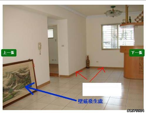浴室外牆壁癌問題請教