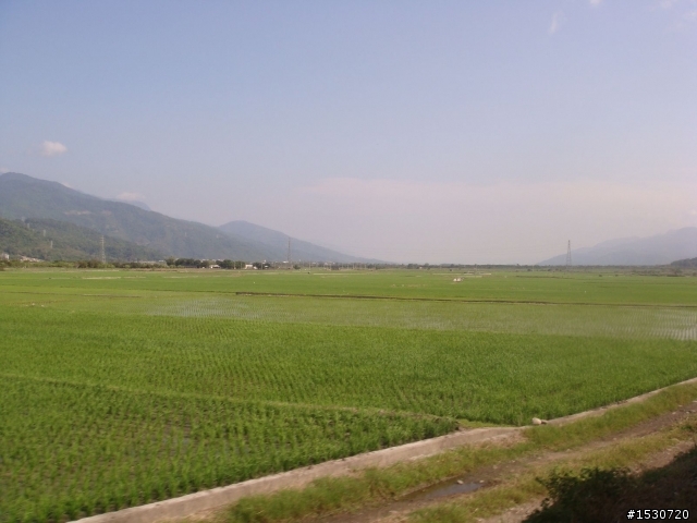 灰狼出擊---花東溫泉之旅(更新至完)