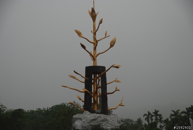 阿里山塔塔加232km一日遊
