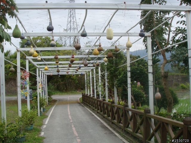 灰狼出擊---花東溫泉之旅(更新至完)