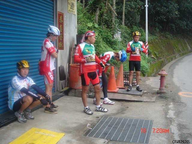 阿里山塔塔加232km一日遊