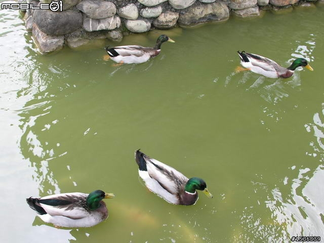 (長文+多圖) 2010/3/30-31 沒啥計劃的台灣3/4周雙點三塔兩日行~(更新完畢)~