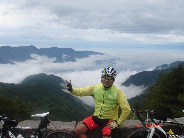 阿里山塔塔加232km一日遊