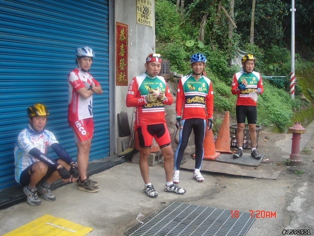 阿里山塔塔加232km一日遊