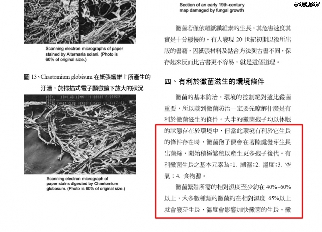 電子防潮箱要控制到多少濕度? 你真的認識什麼是黴菌嗎?