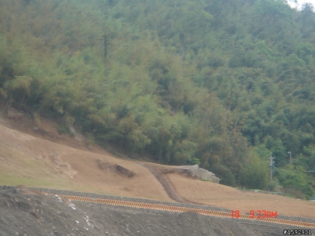 阿里山塔塔加232km一日遊