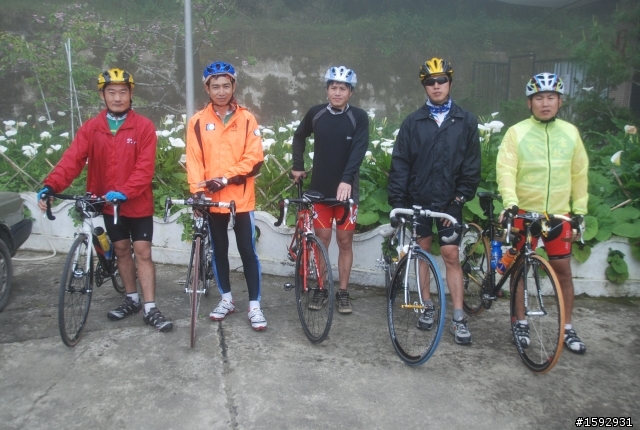 阿里山塔塔加232km一日遊