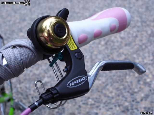 【男僕的心血第二彈】GIANT FD-806的巒生兄弟=NISSAN FD-805 綠小折之團圓買菜車=
