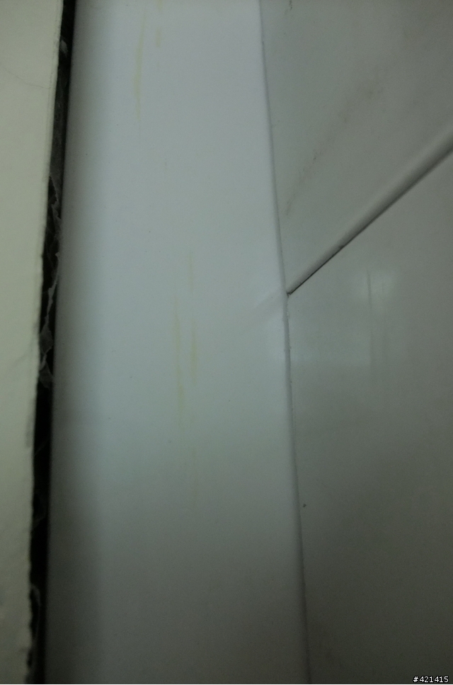 (4/27更新) 求助防漏達人!silicon與無收縮水泥?或私下推薦我防漏廠商,謝謝^^