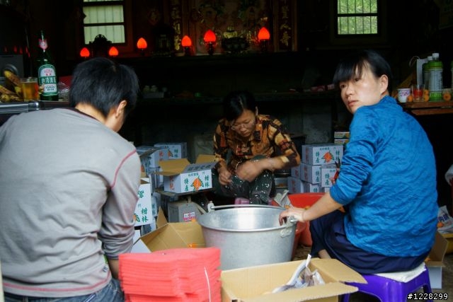分享18/55KIT鏡頭下的國姓山城,枇杷豐收隨拍