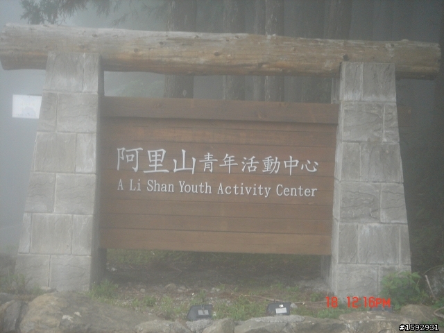 阿里山塔塔加232km一日遊