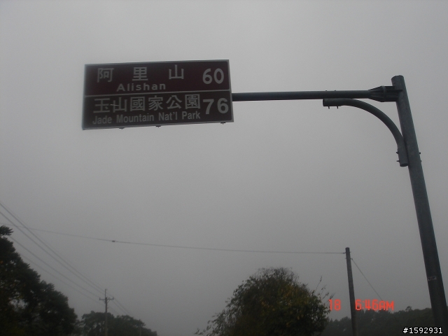 阿里山塔塔加232km一日遊