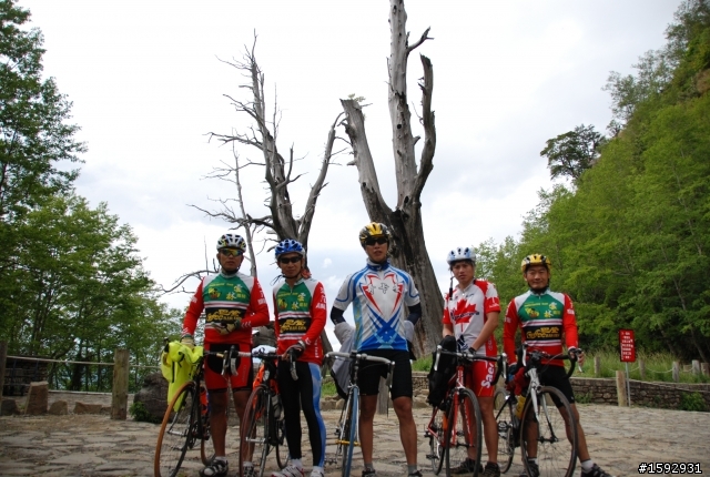 阿里山塔塔加232km一日遊