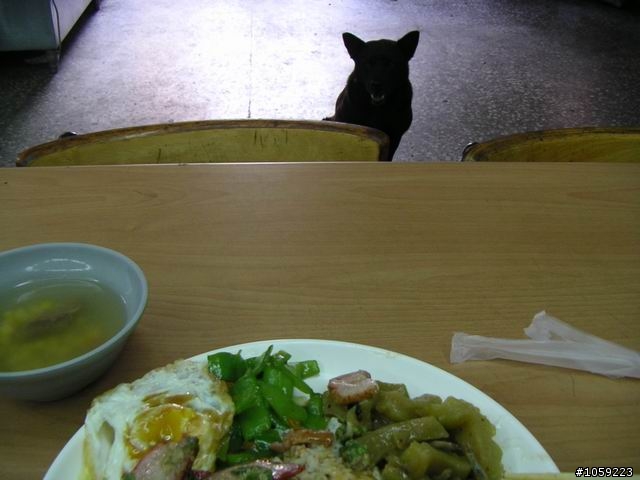 2010年單人野狼環島5天4夜-地獄式考驗-沙塵暴-焚風-低溫-濃霧-落山風-狂風-降雨-終完成夢想