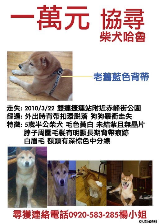 我不想放棄!!請大家幫我找哈魯!拜託拜託!!