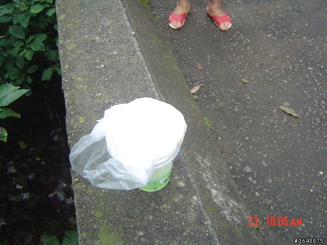 【分享】肉咖帶小折試騎"九橫一豎"心得