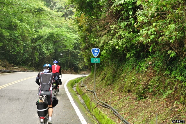 Brompton 3P的中橫遊記(埔里-武嶺-花蓮)..圖多
