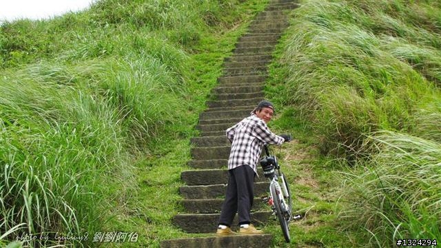 桃源谷-草嶺古道啞口越嶺