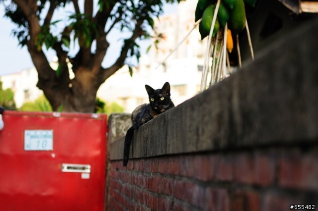 17-55 f2.8 皇‧上.駕.到