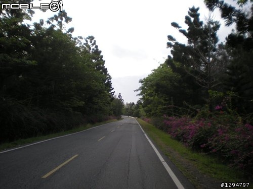 0501圓點盃-墾丁瘋狂大賽車-完成