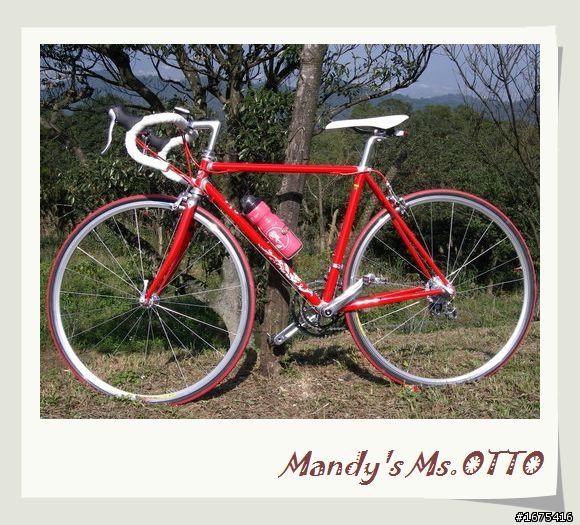 分享mandy's Ms. otto 鋼管車