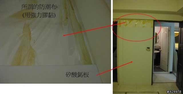 輕微壁癌的處理問題