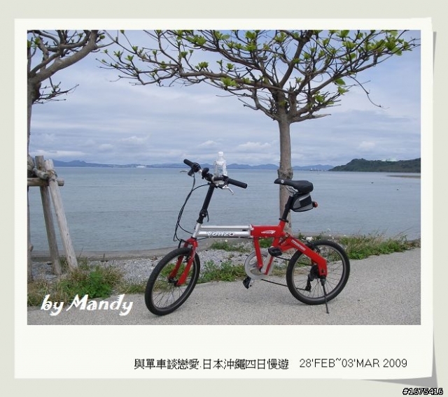 分享mandy's Ms. otto 鋼管車