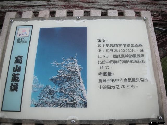 又敬又畏的武嶺—終於成行(女王篇)