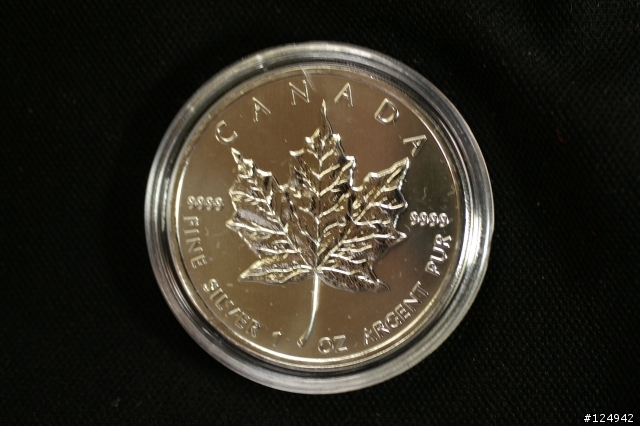 我的新歡-銀幣