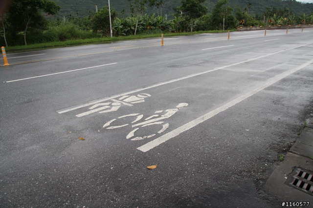 追尋夢土,騎向洄瀾(花蓮)單車之旅