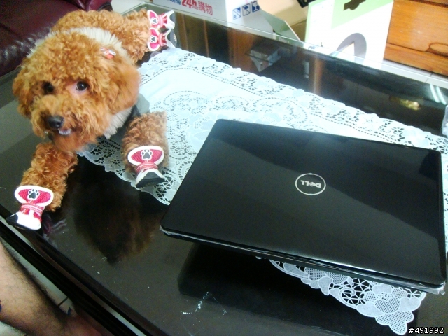 (開箱文)DELL 1464 i3-330(有請國際模特兒狗入鏡)