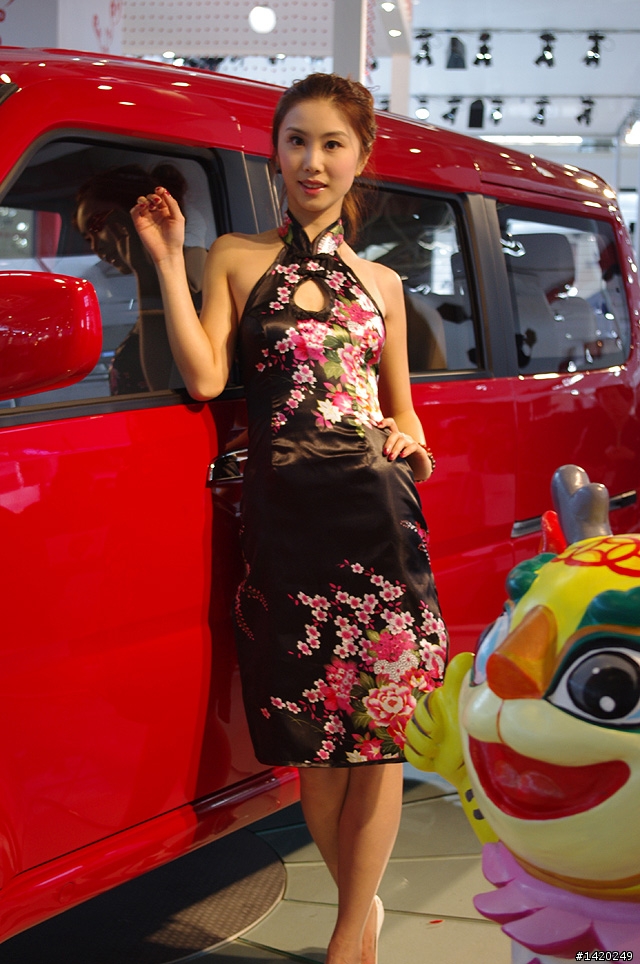 壓軸!2010北京國際車展SG照片分享