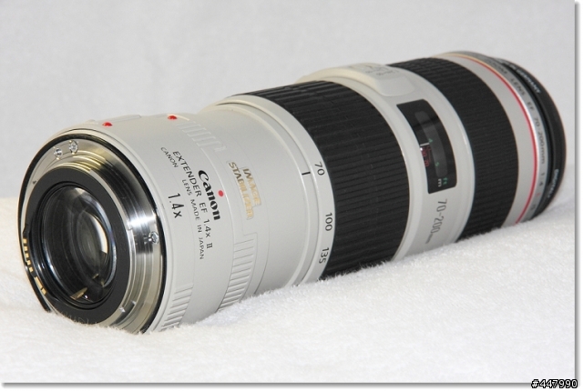 Canon望遠小幫手 - EF 1.4X II 分享