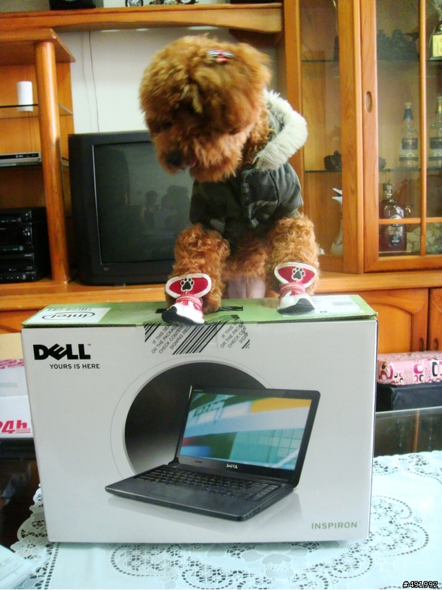(開箱文)DELL 1464 i3-330(有請國際模特兒狗入鏡)